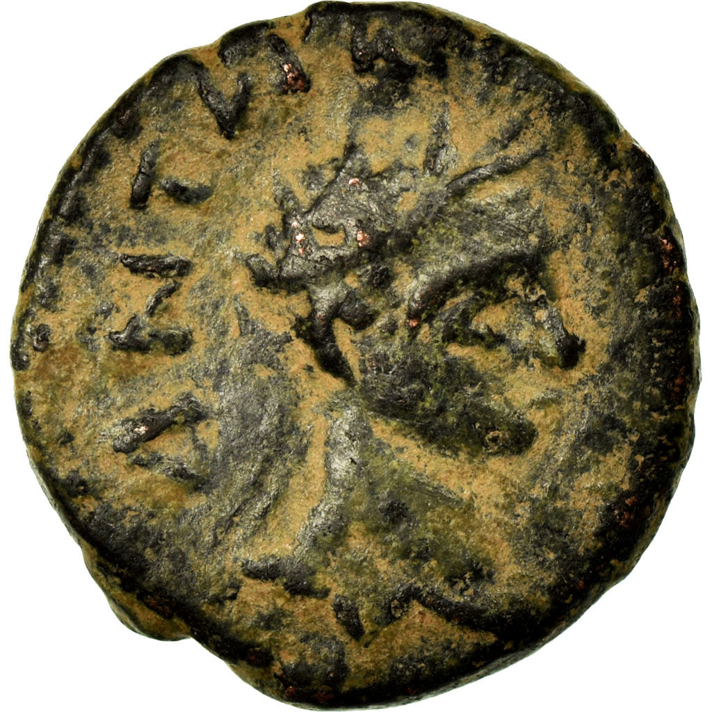 Coin, Mesopotamia, Elagabalus, Bronze Æ, 218-222, Carrhae, Rare, VF(30-35)