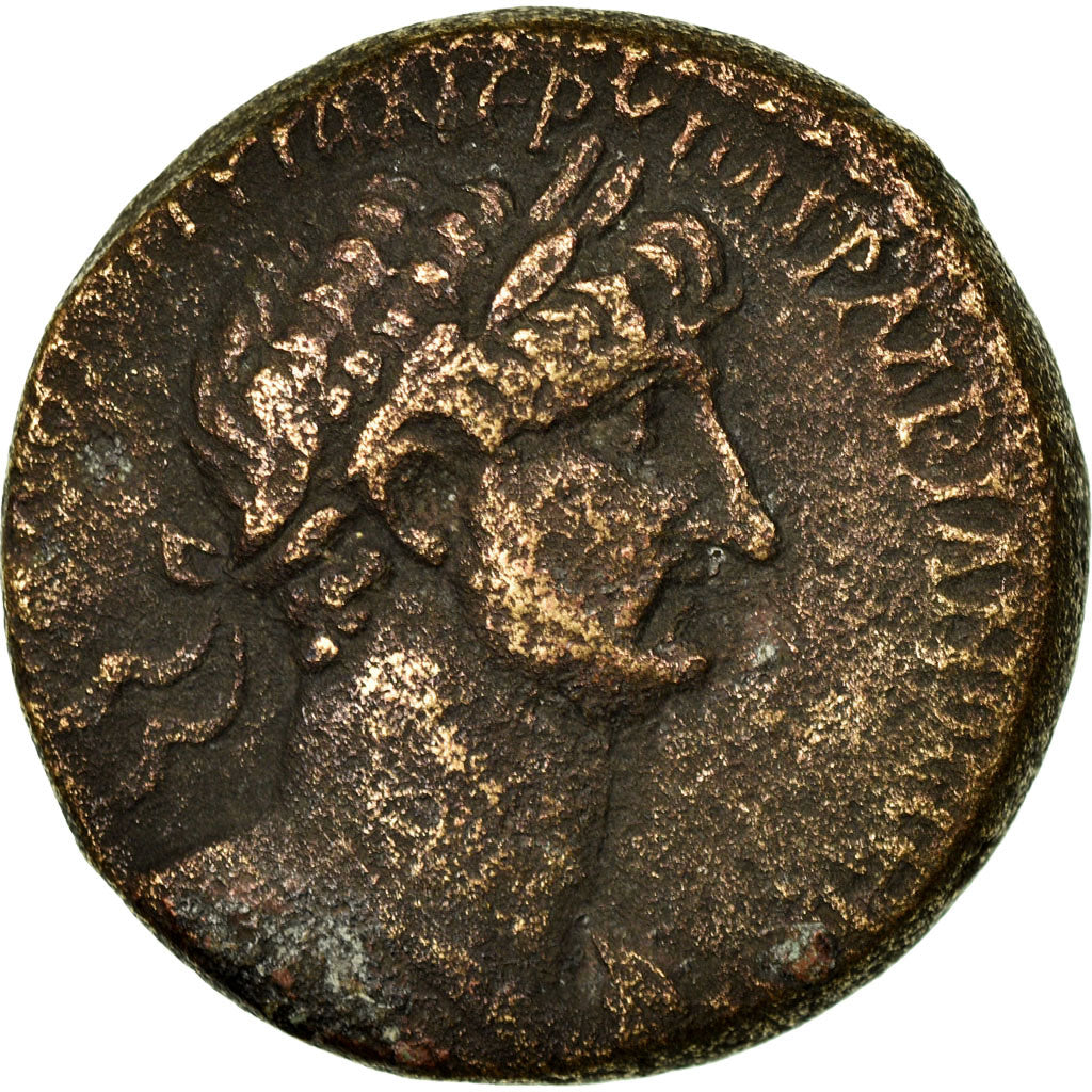 Coin, Seleucis and Pieria, Hadrian, As, 117-138, Antioch, EF(40-45), Bronze