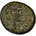 Monnaie, Séleucie et Piérie, Claude, As, 41-54, Antioche, TTB, Bronze