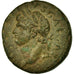 Coin, Seleucis and Pieria, Domitian, Semis, 81-96, Antioch, EF(40-45), Bronze