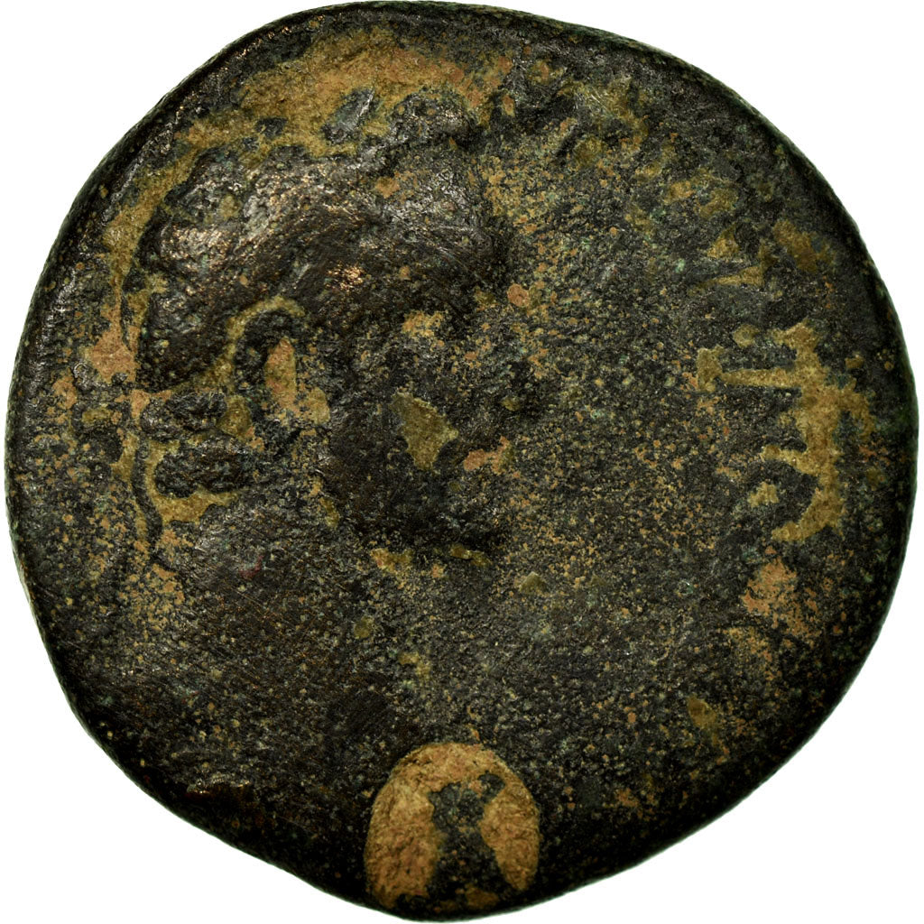 Coin, Seleucis and Pieria, Antoninus Pius, Bronze Æ, 138-161, Laodicea ad Mare