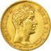 Moeda, França, Charles X, 40 Francs, 1830, Paris, EF(40-45), Dourado, KM:721.1