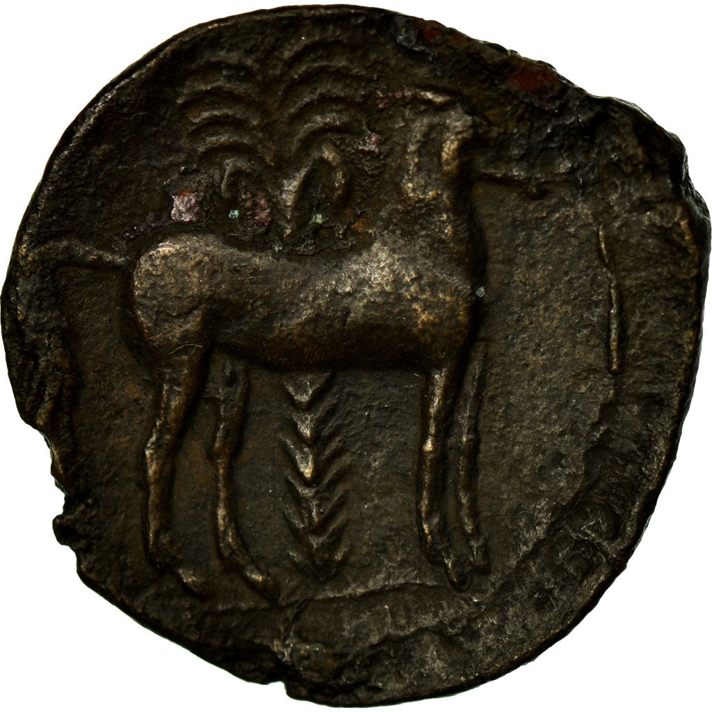 Coin, Carthage, Zeugitane, Bronze Æ, Carthage, EF(40-45), Bronze, SNG