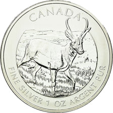 Coin, Canada, Elizabeth II, Antilocapra, 5 Dollars, 2013, Royal Canadian Mint