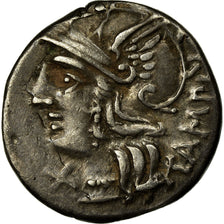Coin, Baebia, Denarius, 137 BC, Rome, EF(40-45), Silver, Crawford:236/1c