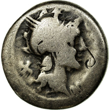 Coin, Cipia, Denarius, 115-114 BC, Rome, F(12-15), Silver, Crawford:289/1