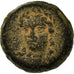 Coin, Seleukid Kingdom, Antiochos III, Bronze Æ, Seleukeia on the Tigris