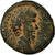 Moneta, Seleucid i Pierie, Lucius Verus, As, 161-169, Antioch, VF(20-25), Bronze