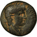 Coin, Seleucis and Pieria, Tiberius, As, 14-37 AD, Antioch, VF(20-25), Bronze