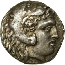 Coin, Islands off Caria, Kos, Tetradrachm, 285-258 BC, EF(40-45), Silver