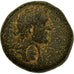 Coin, Seleucis and Pieria, Antoninus Pius, Bronze Æ, 138-161, Laodicea ad Mare