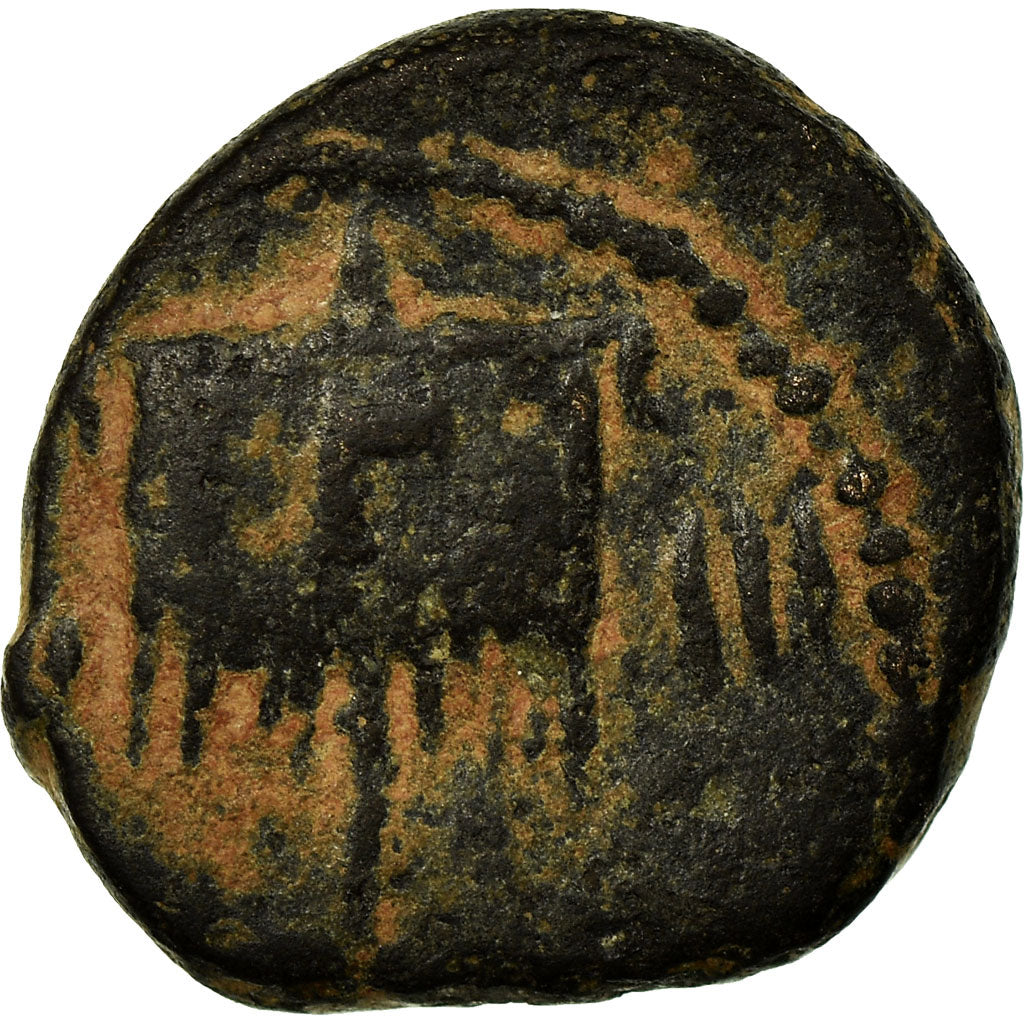 Monnaie, Mésopotamie, Rhesaena, Caracalla, Bronze Æ, 218-222, TB, Bronze