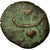 Monnaie, Mésopotamie, Pseudo-autonomous issue, Bronze Æ, Carrhes, TB, Bronze