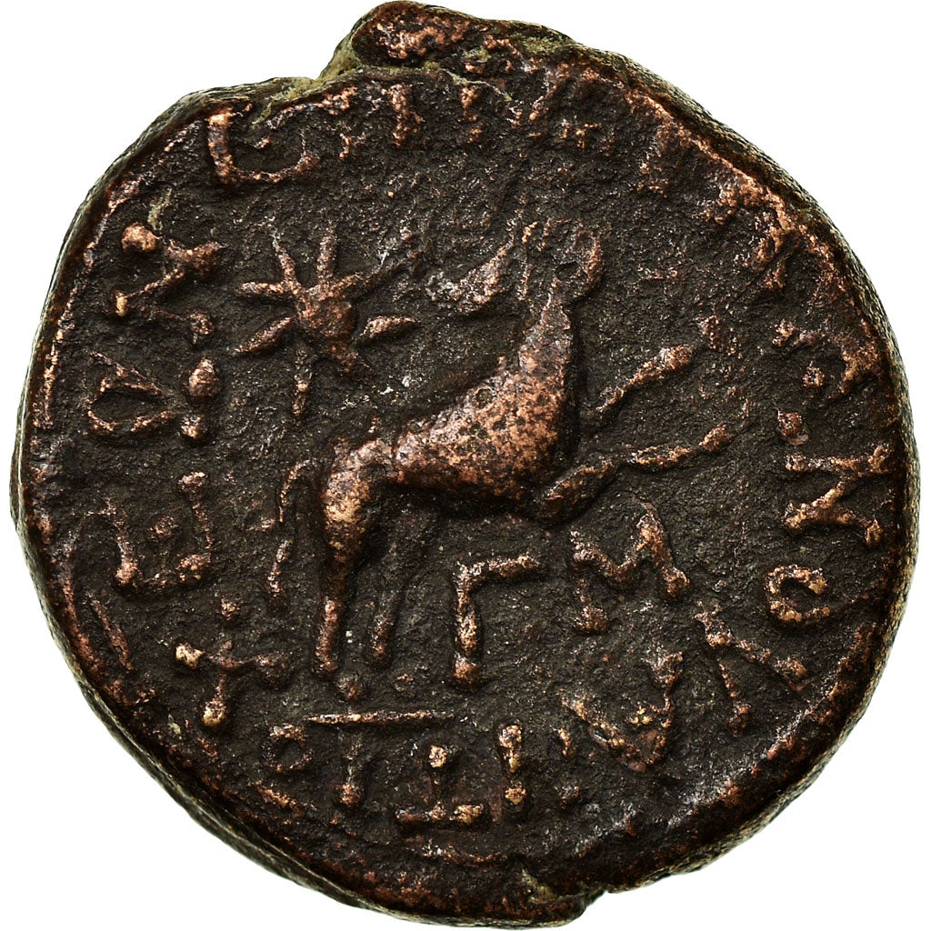 Coin, Seleucid and Pierie, Pseudo-autonomous issue, Bronze Æ, 12-13 AD
