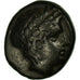 Moneta, Macedonia, Bottiaea, Bronze Æ, 392-379 BC, Bardzo rzadkie, EF(40-45)