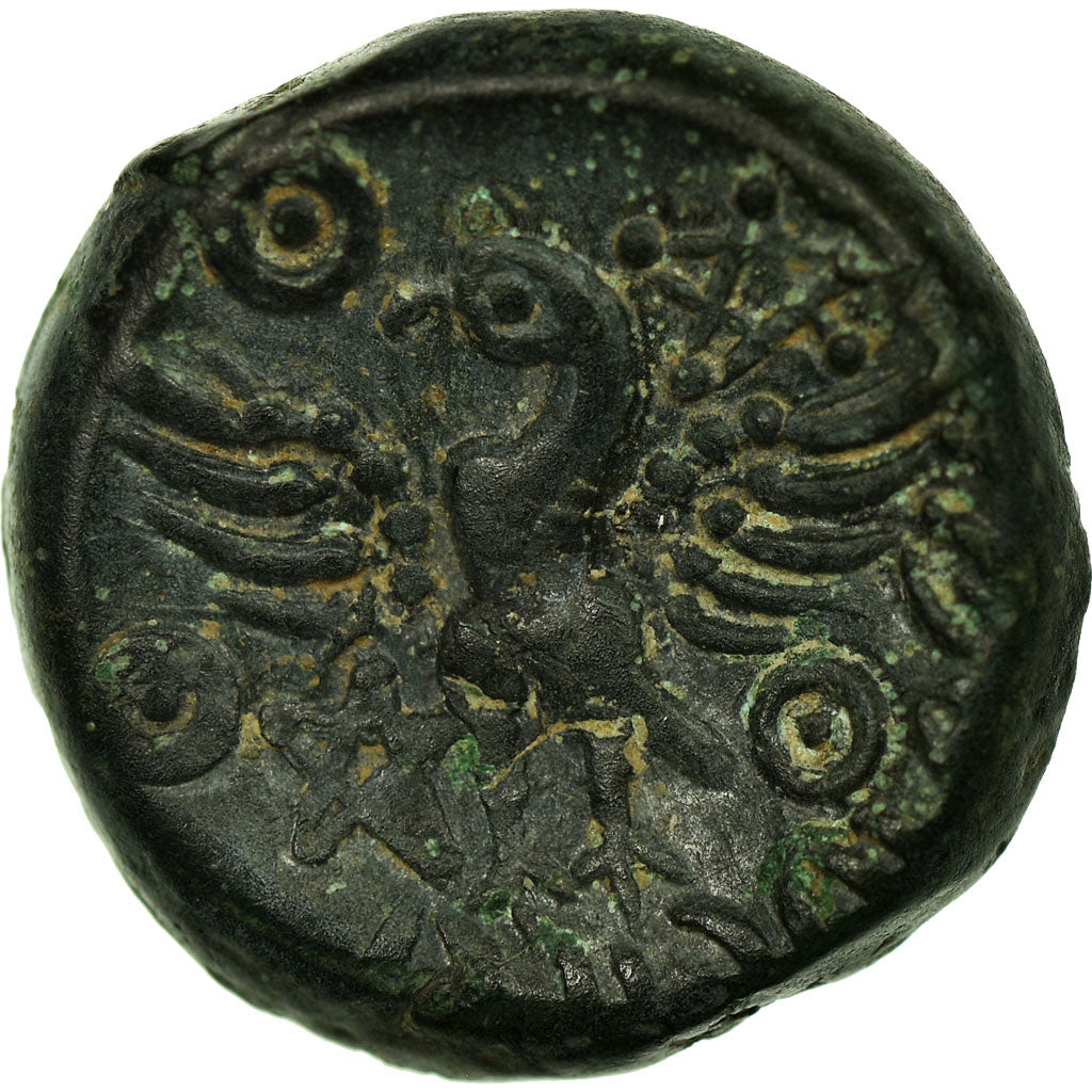 Münze, Bituriges, Bronze Æ VANDIINOS, VZ, Bronze, Delestrée:2587