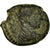 Moneta, Mesopotamia, Elagabalus, Bronze Æ, 218-222, Carrhae, Rzadkie