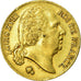 Münze, Frankreich, Louis XVIII, 20 Francs, 1819, Lille, SS, Gold, KM:712.9