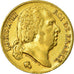 Moeda, França, Louis XVIII, 20 Francs, 1818, Paris, EF(40-45), Dourado