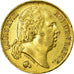 Moeda, França, Louis XVIII, 20 Francs, 1824, Lille, EF(40-45), Dourado