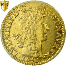 Coin, France, Louis XIV, Louis d'or au buste juvénile, 1663, Bayonne, PCGS