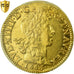 Coin, France, Louis XIV, Louis d'or au buste juvénile, 1663, Bayonne, PCGS