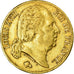 Moneda, Francia, Louis XVIII, 20 Francs, 1817, Lille, MBC, Oro, KM:712.9