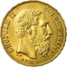Coin, Belgium, Leopold II, 20 Francs, 20 Frank, 1882, MS(63), Gold, KM:37