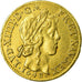 Moneda, Francia, Louis XIV, Louis d'or à la mèche longue, 1648, Paris, MBC