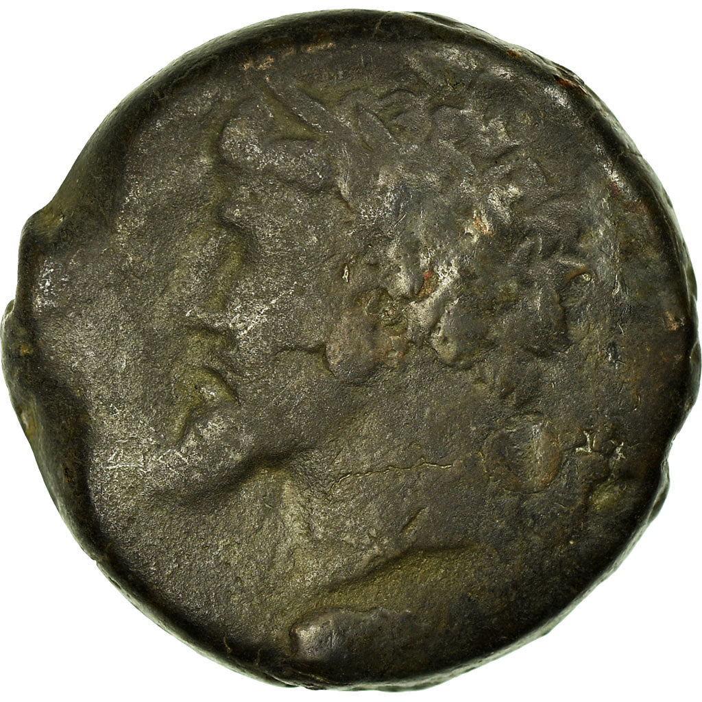 Moneta, Numidia (Kingdom of), Bronze Æ, 148-118 BC, MB, Bronzo, SNG-Cop:505