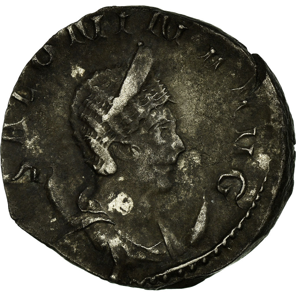 Monnaie, Salonine, Antoninien, 257-259, Colonia Agrippinensis, TTB, Billon