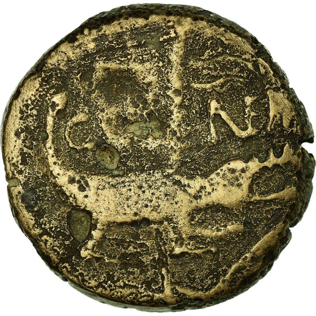Monnaie, Auguste, Dupondius, 10-14 AD, Nîmes, B, Bronze, RIC:157