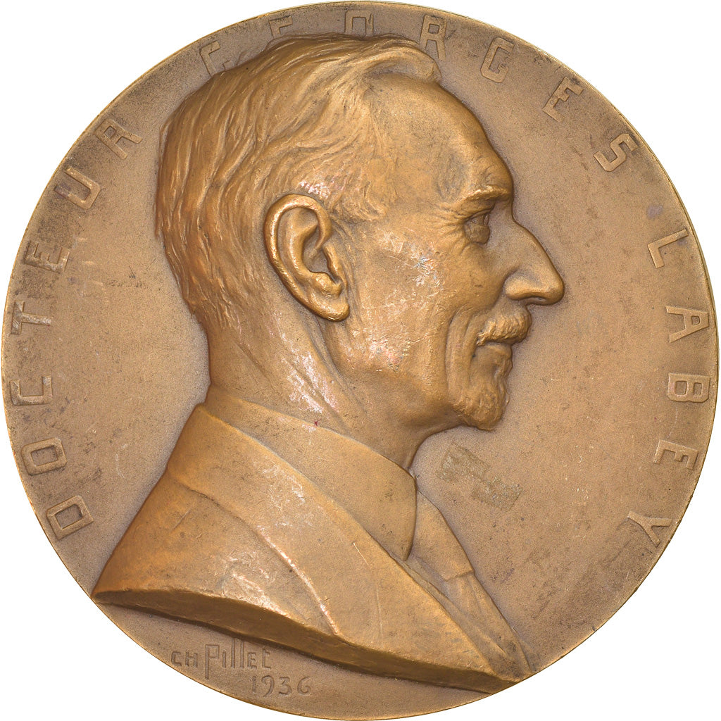 França, Medal, Docteur Georges Laney, Medicina, 1936, Pillet, AU(50-53), Bronze