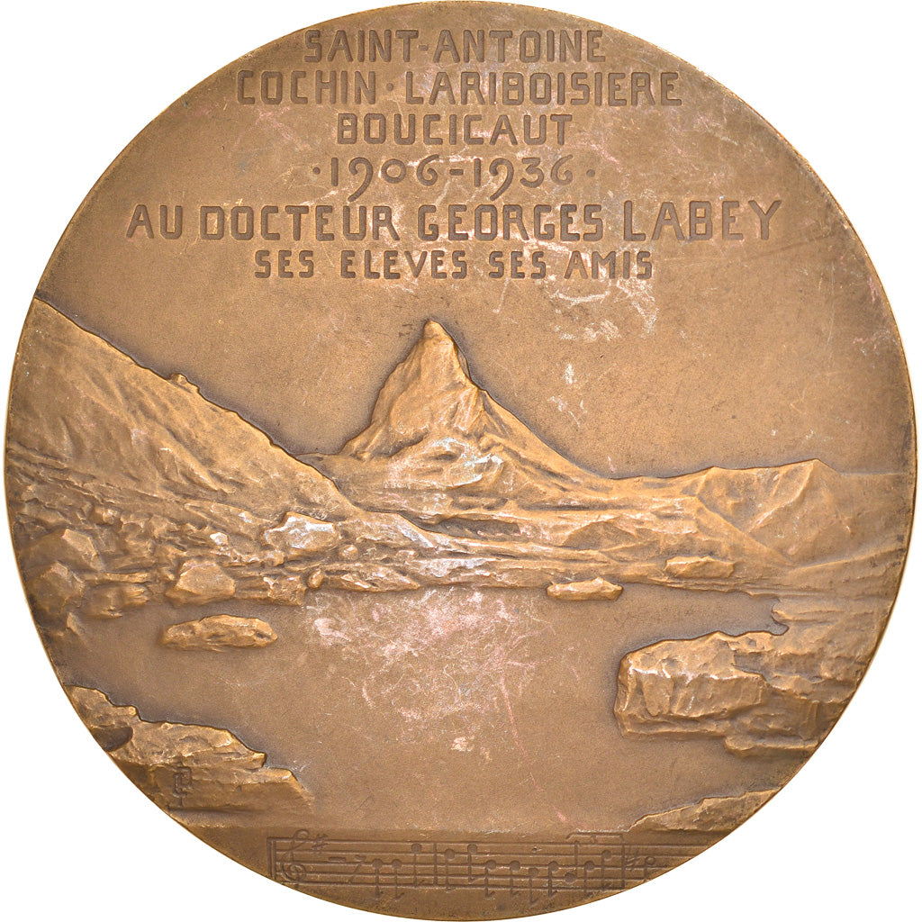 França, Medal, Docteur Georges Laney, Medicina, 1936, Pillet, AU(50-53), Bronze