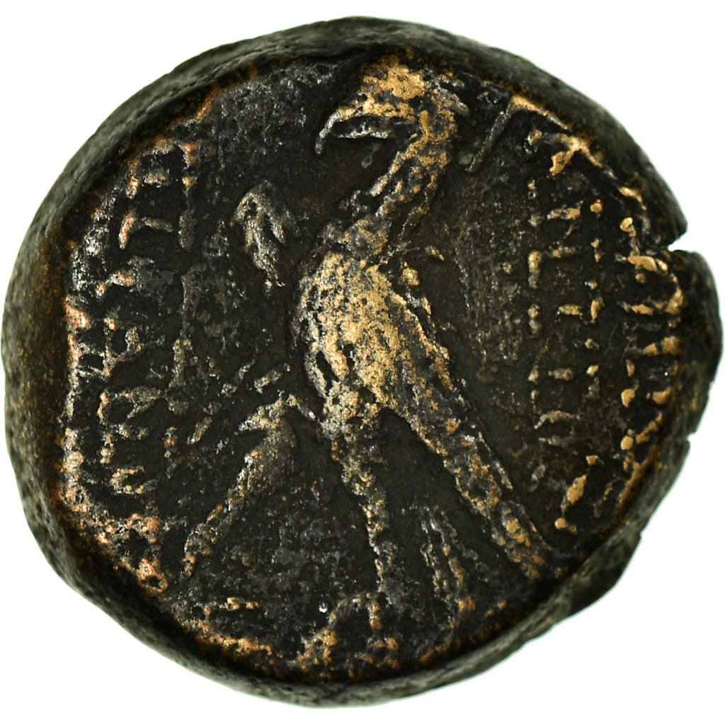 Coin, Seleukid Kingdom, Antiochos VIII Epiphanes, Bronze Æ, 121/0-97/6 BC