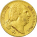 Moeda, França, Louis XVIII, 20 Francs, 1818, Paris, EF(40-45), Dourado
