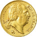 Coin, France, Louis XVIII, 20 Francs, 1824, Paris, EF(40-45), Gold, KM:712.1