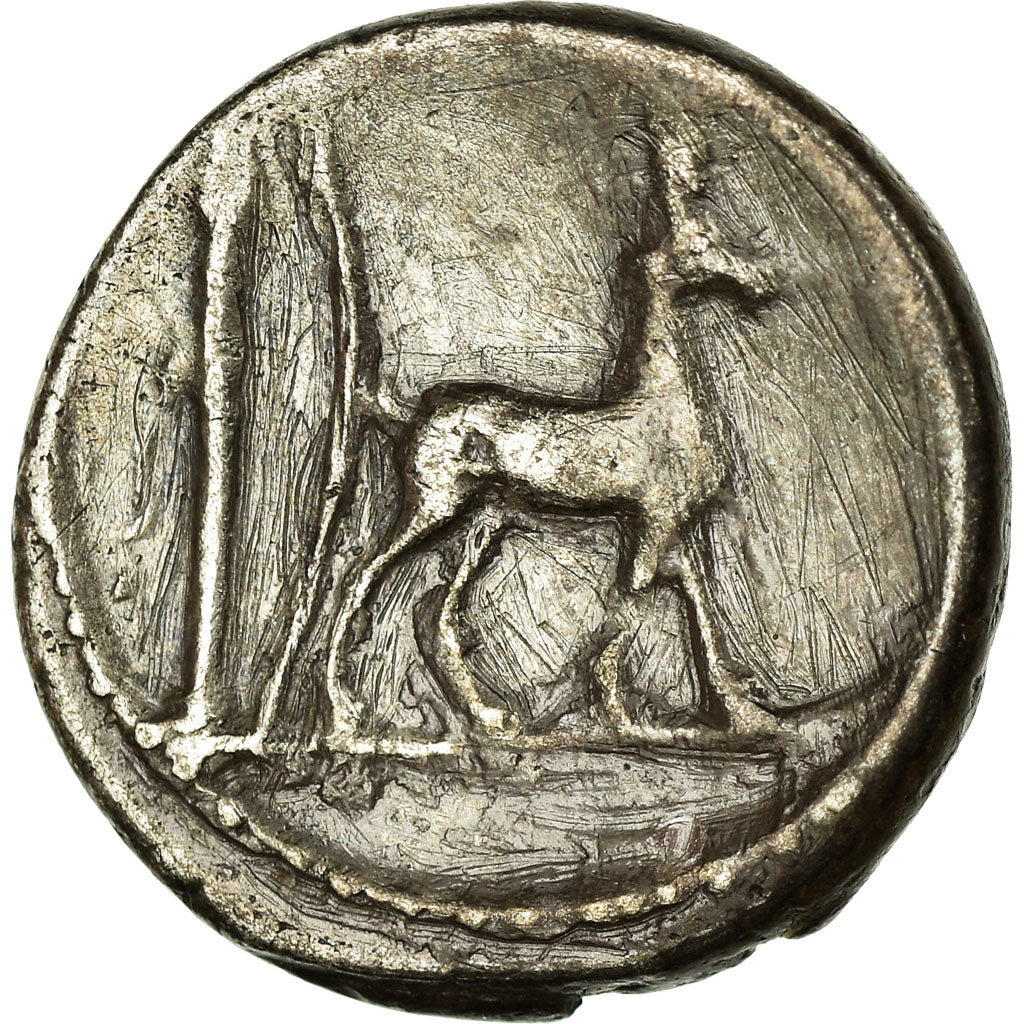 Coin, Plancia, Denarius, 55 BC, Rome, VF(30-35), Silver, Crawford:432/1