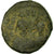 Moneda, Heraclius, with Heraclius Constantine, 12 Nummi, 613-618, Alexandria