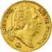 Moeda, França, Louis XVIII, 20 Francs, 1818, Lille, EF(40-45), Dourado