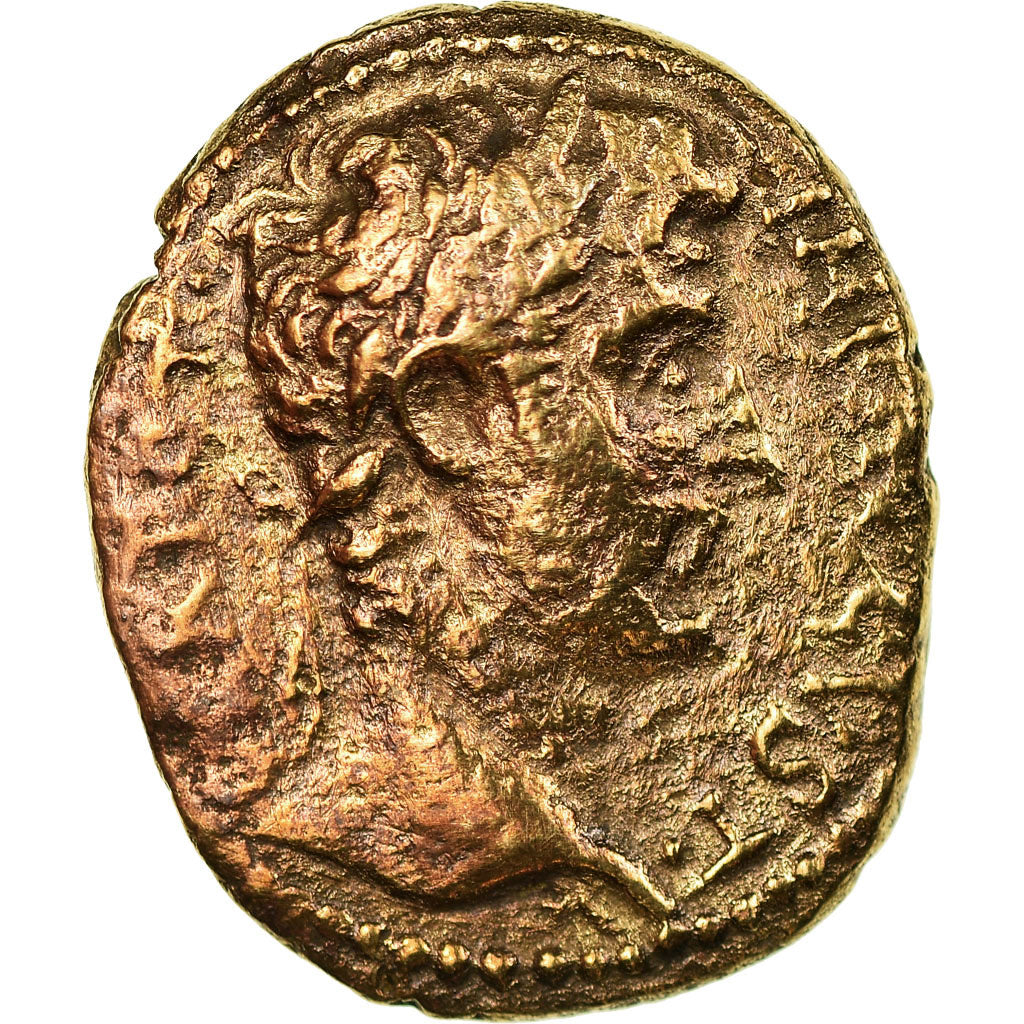 Moneta, Seleucis and Pieria, Augustus, As, 5-12, Antioch, MB, Bronzo