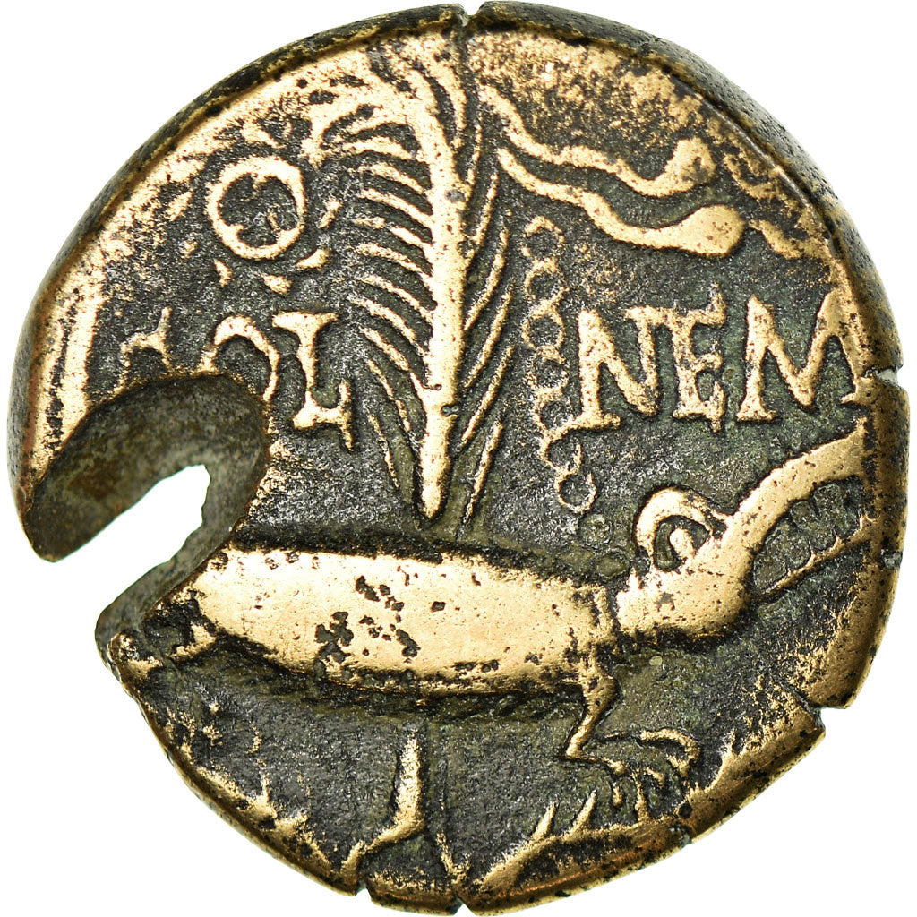 Coin, Augustus, Dupondius, 10-14 AD, Nîmes, VF(20-25), Bronze, RIC:160