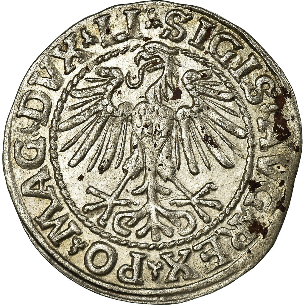 Moneta, Lituania, Sigismund II, 1/2 Groschen, 1548, Vilna, BB+, Argento