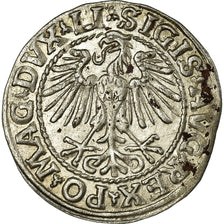 Moneta, Lituania, Sigismund II, 1/2 Groschen, 1548, Vilna, BB+, Argento