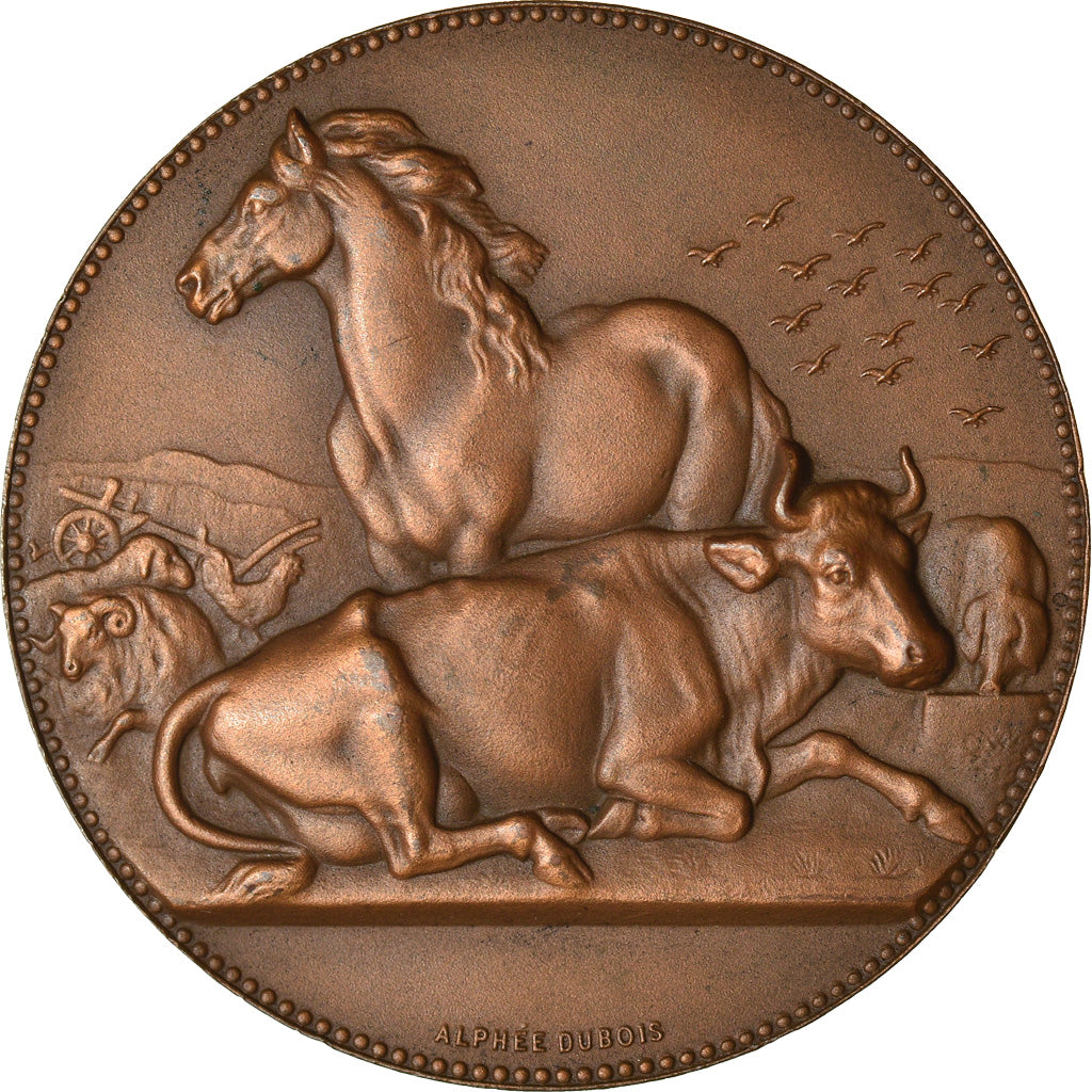 Francia, medalla, Agriculture, Animaux de la Ferme, Alphée Dubois, SC, Bronce