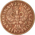 Coin, Poland, Grosz, 1931, Warsaw, EF(40-45), Bronze, KM:8a