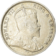 Münze, Hong Kong, Edward VII, 5 Cents, 1903, SS, Silber, KM:12