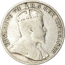 Monnaie, NEWFOUNDLAND, 5 Cents, 1908, TB, Argent, KM:7