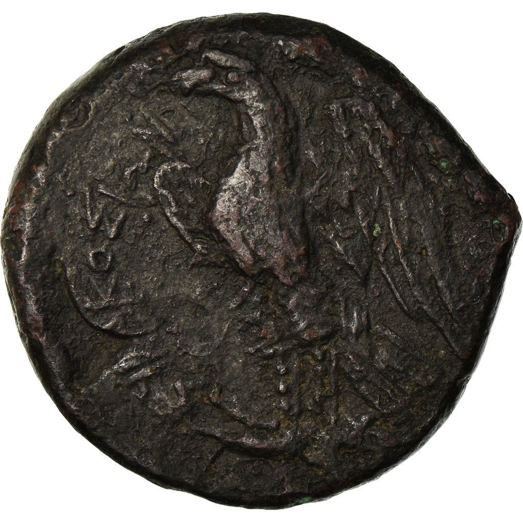 Moneta, Sicily, Syracuse, Hiketas II, Hemilitron, 287-278 BC, MB, Bronzo