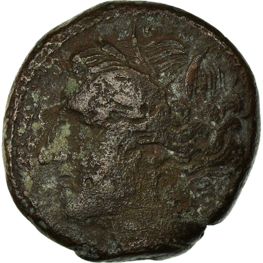 Coin, Sicily, Syracuse, Hieron II, Bronze Æ, 275-269/5 BC, VF(20-25), Bronze